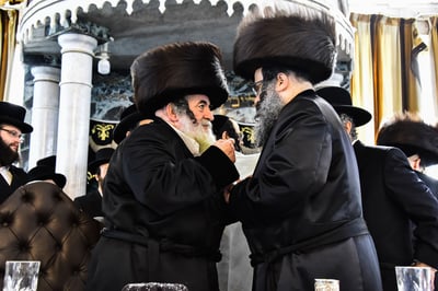 הרבי מויז'ניץ והגרח"צ מייזליש בשמחה