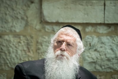 מאיר פרוש