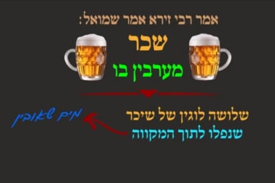הדף היומי: מסכת עירובין, דף כ"ט • סיכום והמחשה