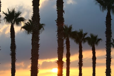 התחזית: גל החום עדיין נמשך, חם מהרגיל