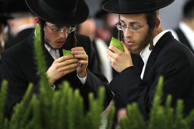 אילוסטרציה