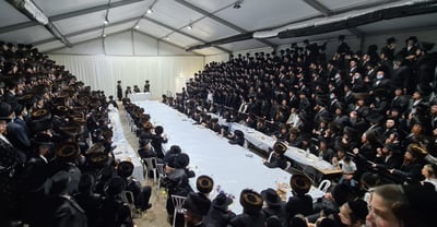 טיש. אילוסטרציה