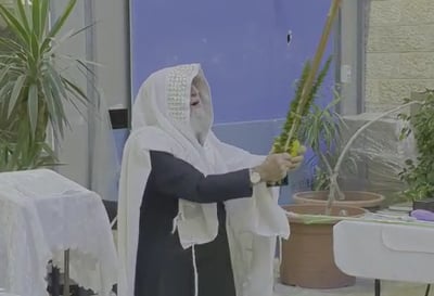 בשטח פתוח: הגר"ר אלבז במצוות נטילת הלולב