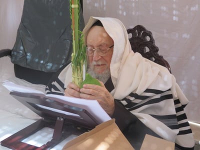 סוכות אצל זקן ראשי הישיבות הגר"י שיינר. צפו