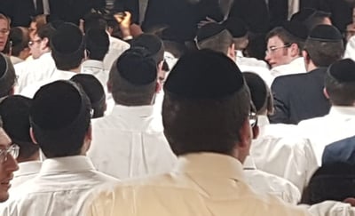 בחורי 'תפרח'. אילוסטרציה