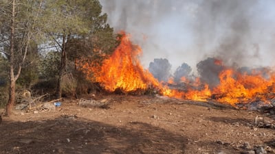 ניסיונות הכיבוי