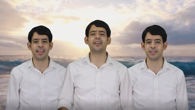 לכבוד היארצייט: יונתן שטרן מבצע "מזמור לדוד"