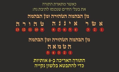מסכת פסחים, דף ג' • סיכום והמחשה של הדף היומי