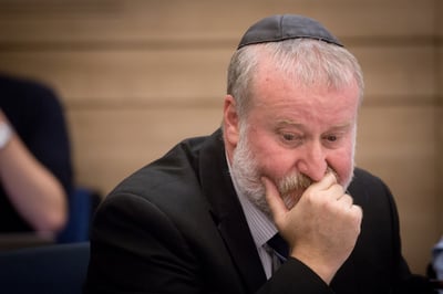 מנדלבליט: מתנגד להתערבות ב'חוק הלאום'