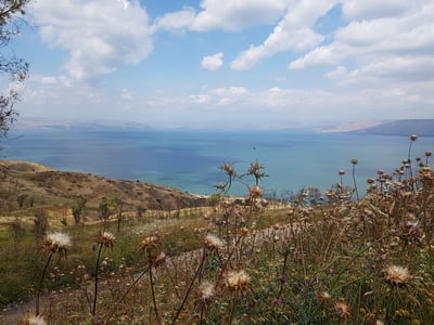 התחזית: מעונן חלקית. ביום שבת: גשמים