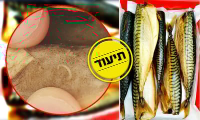 כמה תולעי 'אניסקיס' יש בדג מקרל אחד? • צפו