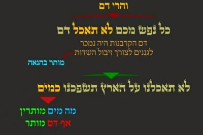 מסכת פסחים, דף כ"ב • סיכום והמחשה של הדף היומי