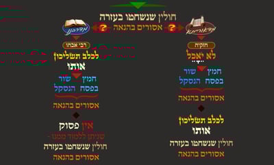 מסכת פסחים, דף כ"ג • סיכום והמחשה של הדף היומי