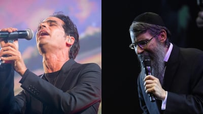 פריד וגפן