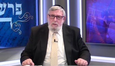 פרשת מקץ •  פינתו של הרב אליעזר שמחה וייס