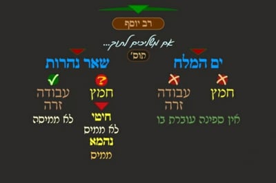 מסכת פסחים, דף כ"ח • סיכום והמחשה של הדף היומי