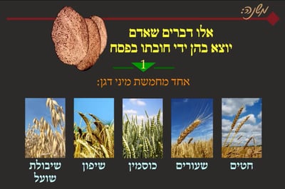 מסכת פסחים, דף ל"ה • סיכום והמחשה של הדף היומי