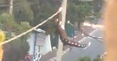 רגעי האימה