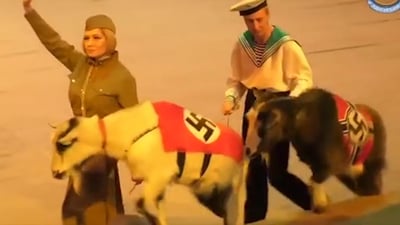 מתוך המופע