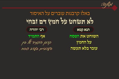 מסכת פסחים, דף ס"ג • סיכום והמחשה של הדף היומי