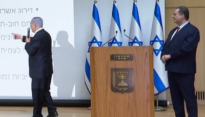 נתניהו מחלק כסף: אלו עיקרי תכנית המענקים החדשה