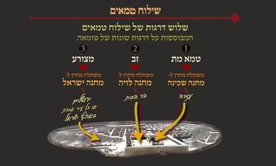 מסכת פסחים, דף ס"ז • סיכום והמחשה של הדף היומי