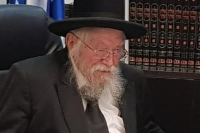 הגרז"נ גולדברג זצ"ל