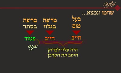 מסכת פסחים, דף ע"א • סיכום והמחשה של הדף היומי