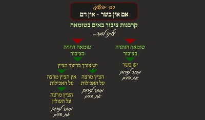מסכת פסחים, דף ע"ז • סיכום והמחשה של הדף היומי