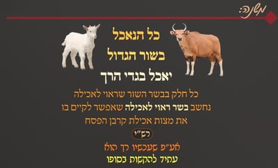 מסכת פסחים, דף פ"ד • סיכום והמחשה של הדף היומי