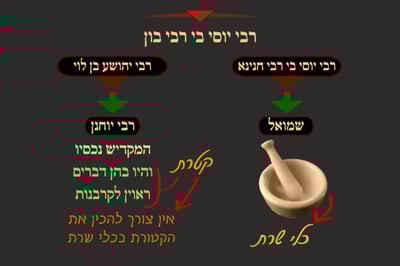 מסכת שקלים, דף י"א • סיכום והמחשה של הדף היומי