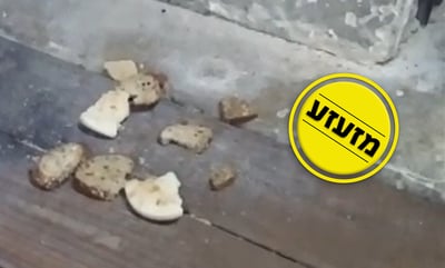 הנחת הלחמים, בראשית החג