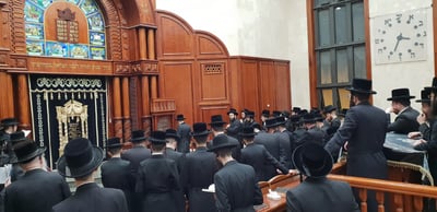 החסידים המתינו לרבי ששב ארצה; תיעוד