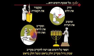 מסכת יומא, דף י"ד • סיכום והמחשה של הדף היומי
