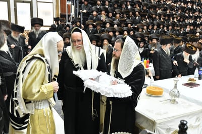 בעריכת הברית