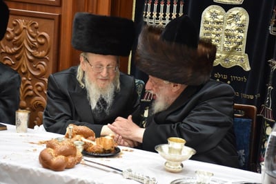 האדמו"רים ב'לחיים'