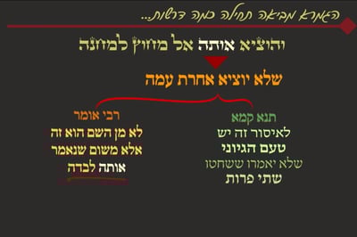 מסכת יומא, דף מ"ב • סיכום והמחשה של הדף היומי