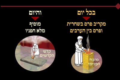 מסכת יומא, דף מ"ה • סיכום והמחשה של הדף היומי