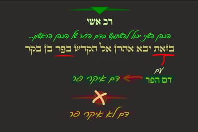 מסכת יומא, דף נ' • סיכום והמחשה של הדף היומי