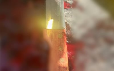 סוכל ניסיון פיגוע: פעילת חמאס נורתה למוות