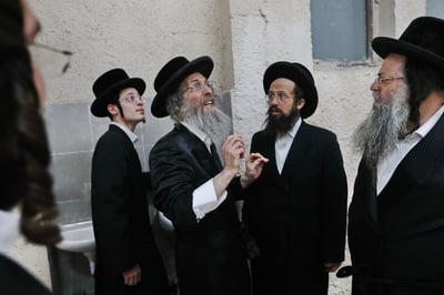 תיעוד נדיר: המשפיע המפורסם ערך שילוח הקן