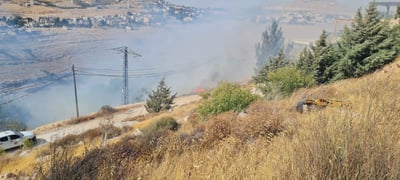 הושגה שליטה על השריפה בשמורת הטבע "נחל תקוע"