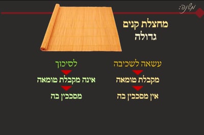 סוכה כ' • סיכום והמחשה של הדף היומי