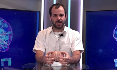 'המוח', פרק 3: איך מקבלים החלטה מוסרית? • צפו