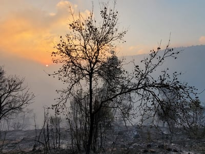 עם אור ראשון: נזקי השריפה נחשפים. תיעוד