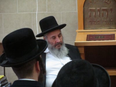 הגאון רבי חיים עמרם איפרגן זצ"ל -' האולטראסאונד'