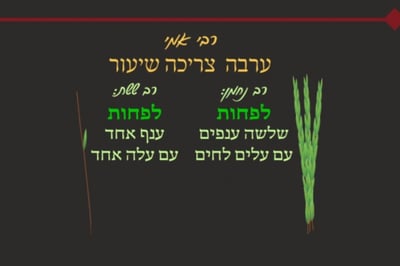 סוכה מ"ד • סיכום והמחשה של הדף היומי