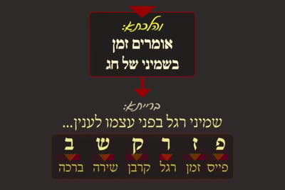 סוכה מ"ז • סיכום והמחשה של הדף היומי