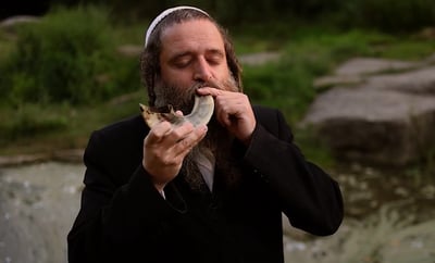 דוד חכם הרסון  מבצע עם השופר: "חמול"