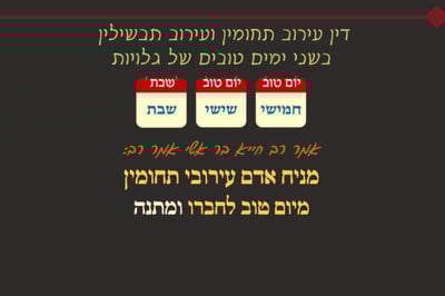 ביצה י"ז • סיכום והמחשה של הדף היומי